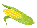 とうもろこし