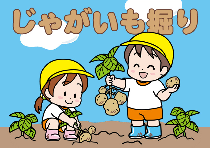 じゃがいも掘り